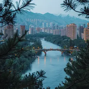 vector该公司介绍