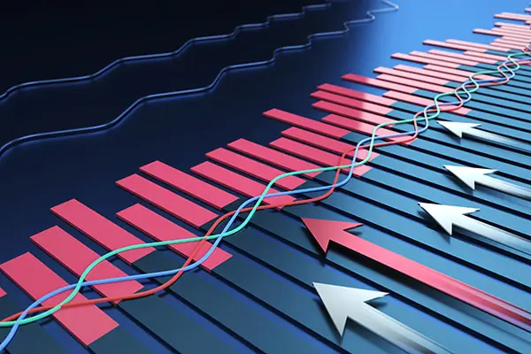 秋野地公司介绍