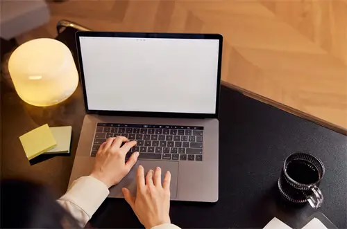 公司诉讼史介绍